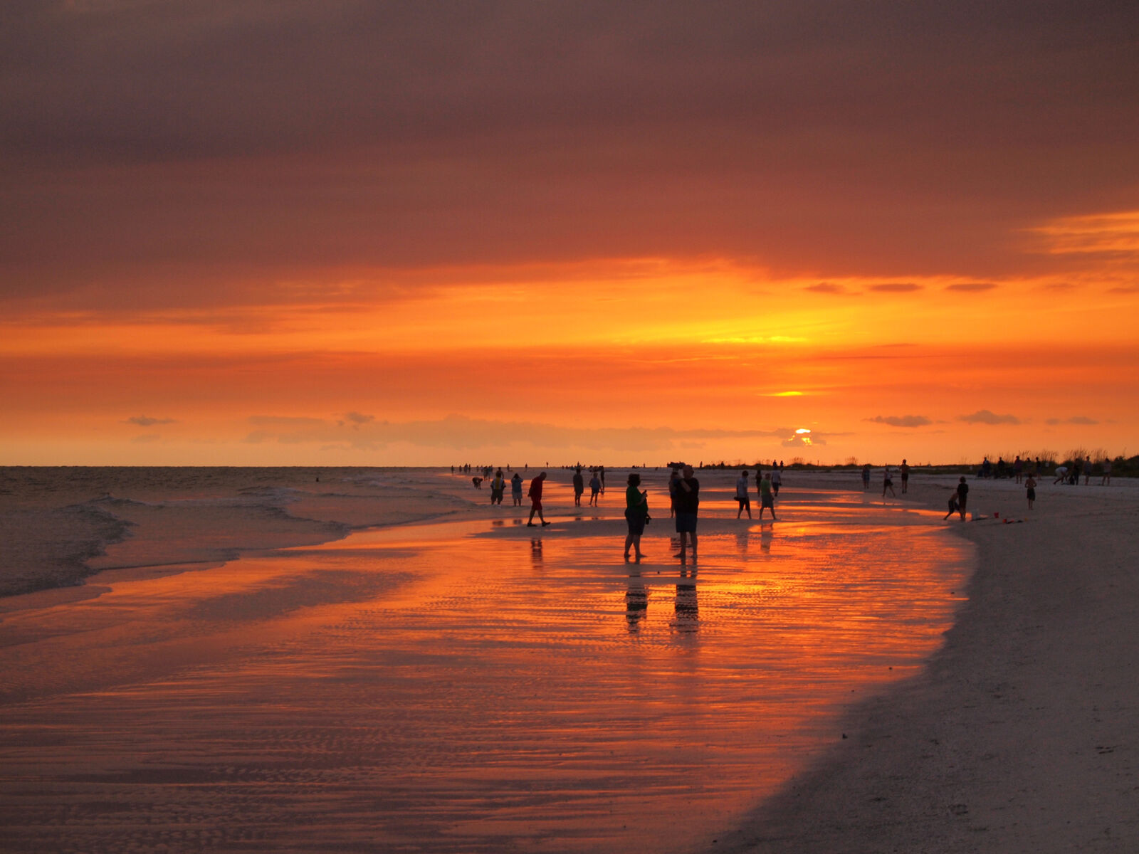 Our Favorite Things to do in Siesta Key | Siesta Key Beaches | Crescent ...